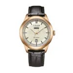 Orologio Citizen Eco Drive AW0153-04A Uomo Day Date Acciaio Gold Quadrante Champagne