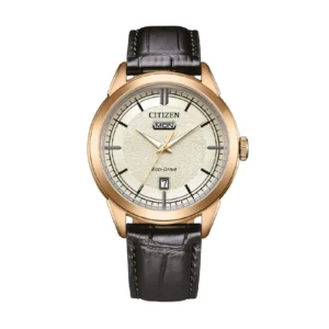 Orologio Citizen AW0153-04A | Eco Drive Gold Champagne