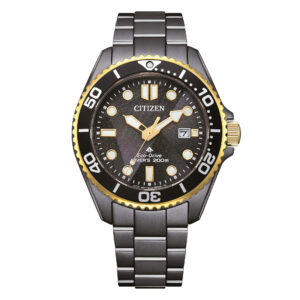Citizen Promaster Diver BN0264-53E Light in Black Limited Edition